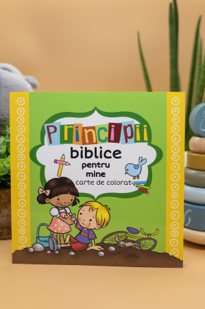 Jocuri si activitati educative - Principii biblice pentru mine