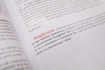 Relatii - 11 lectii pentru a-i ajuta pe copii sa inteleaga mai bine sexualitatea biblica [10]