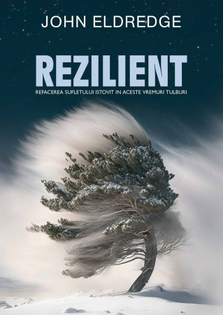 Contemporaneitate - Rezilient. Refacerea sufletului istovit în aceste vremuri tulburi