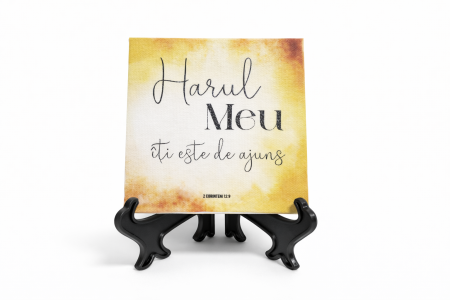 Tablouri - Tablou canvas cu suport (100x100 mm) -Harul Meu