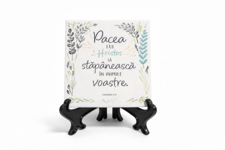Tablouri - Tablou canvas cu suport (100x100 mm) - Pacea lui Hristos