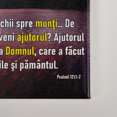 Editura Gramma.ro - Tablou canvas - Imi ridic ochii spre munti