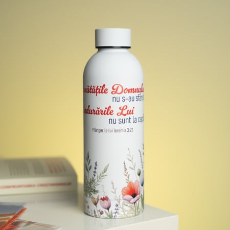 Editura Gramma.ro - Termos - Bunătățile Domnului nu s-au sfârșit