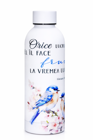 Cadouri Gramma.ro - Termos - Orice lucru El il face frumos la vremea lui