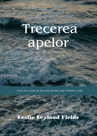Suferinta - Trecerea apelor: Cum să-L urmezi pe Isus prin furtuni, pești, îndoieli și mări