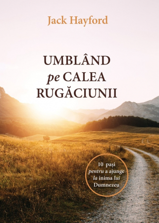Discipline spirituale - Umbland pe calea rugaciunii. 10 pasi pentru a ajunge la inima lui Dumnezeu