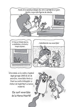 Veverite digitale - Veveritele de la Marea Moarta, vol. 13 [3]