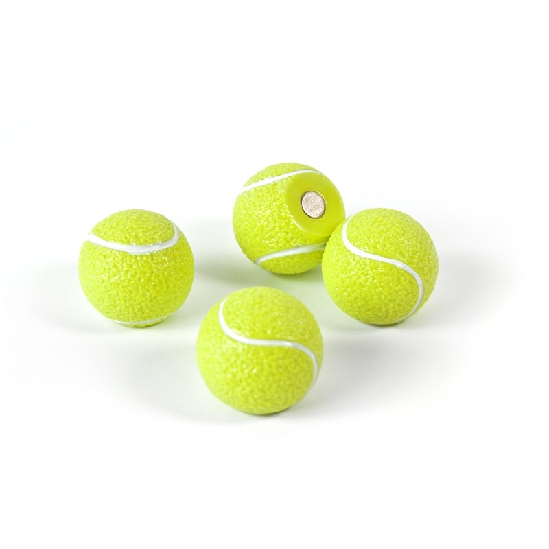 Pentru copii - Magnet - ROGER (4 buc/set)