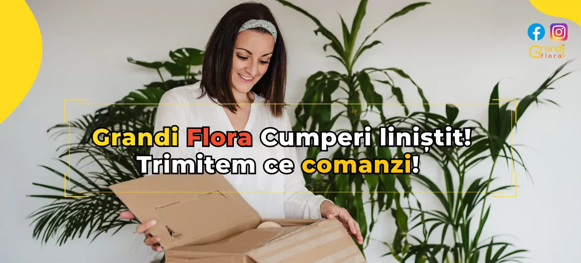 Primești ce comanzi
