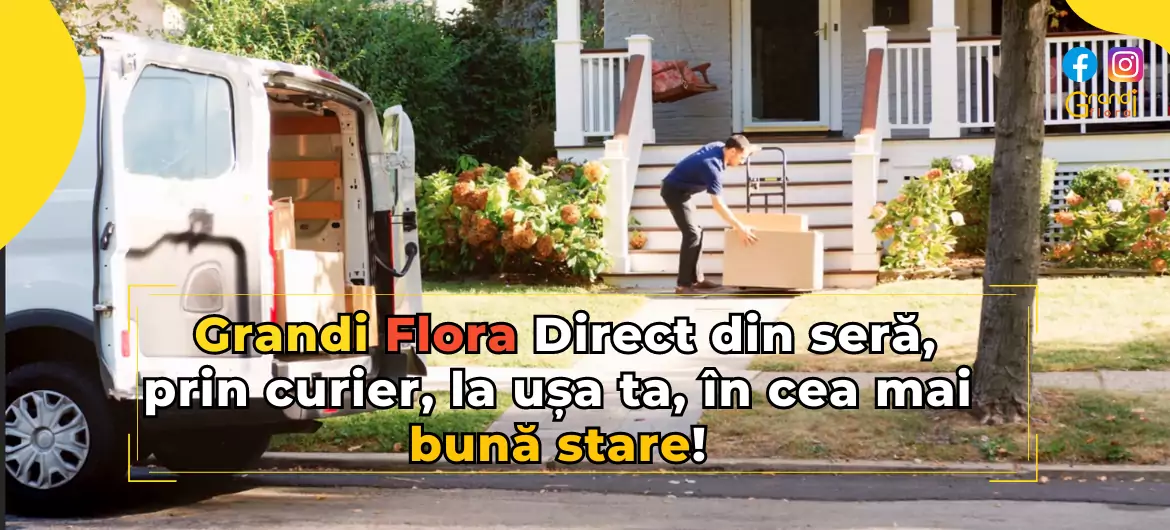 Direct din Seră