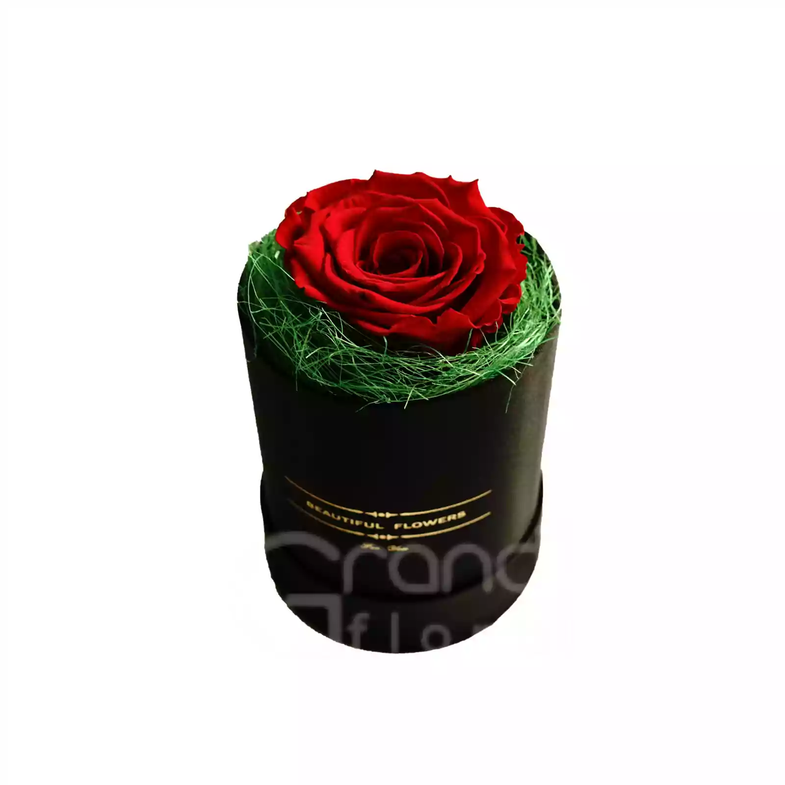 Trandafir Criogenat în cutie Satin - Roșu [3]