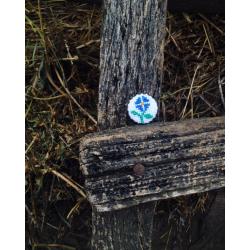 Brose - Brosa floare albastra