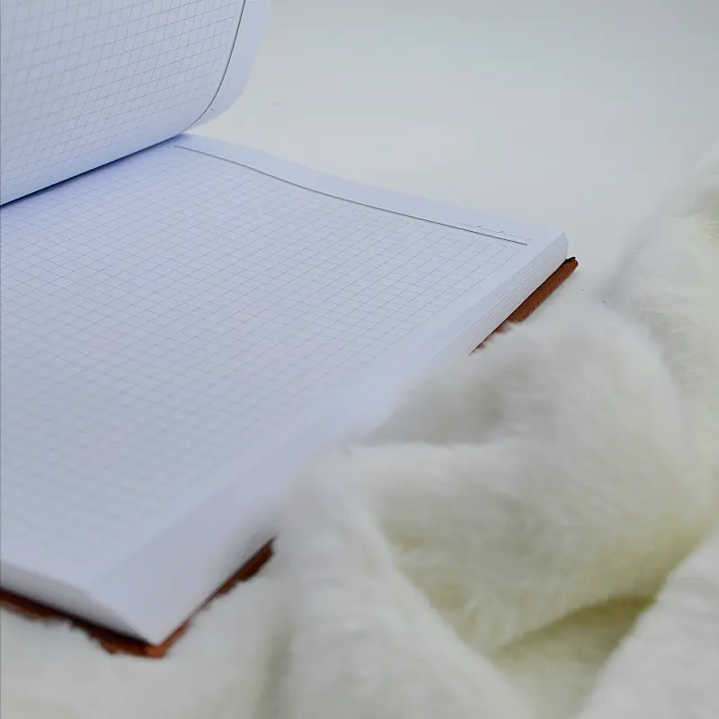 agenda-personalizata-interior-matematica-coperta-maro [2]