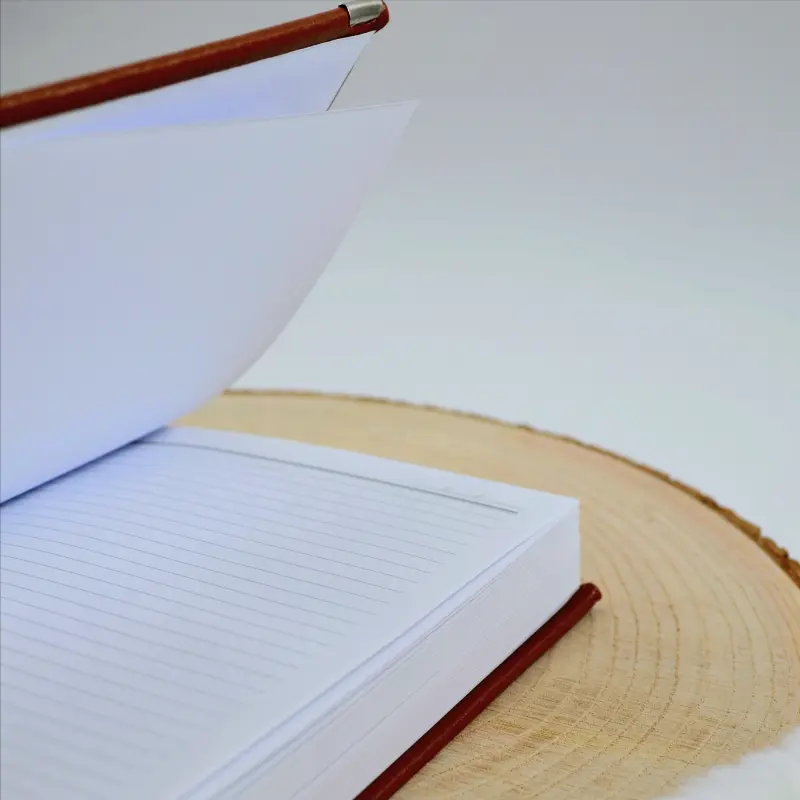 agenda-personalizata-interior-matematica-coperta-maro [3]