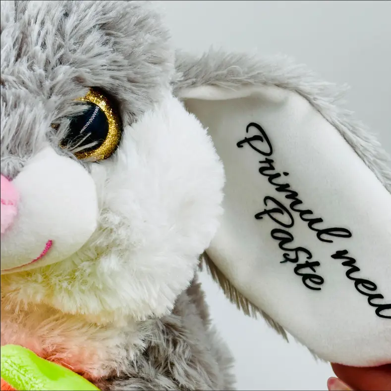 iepuras-personalizat-primul-meu-paste [3]