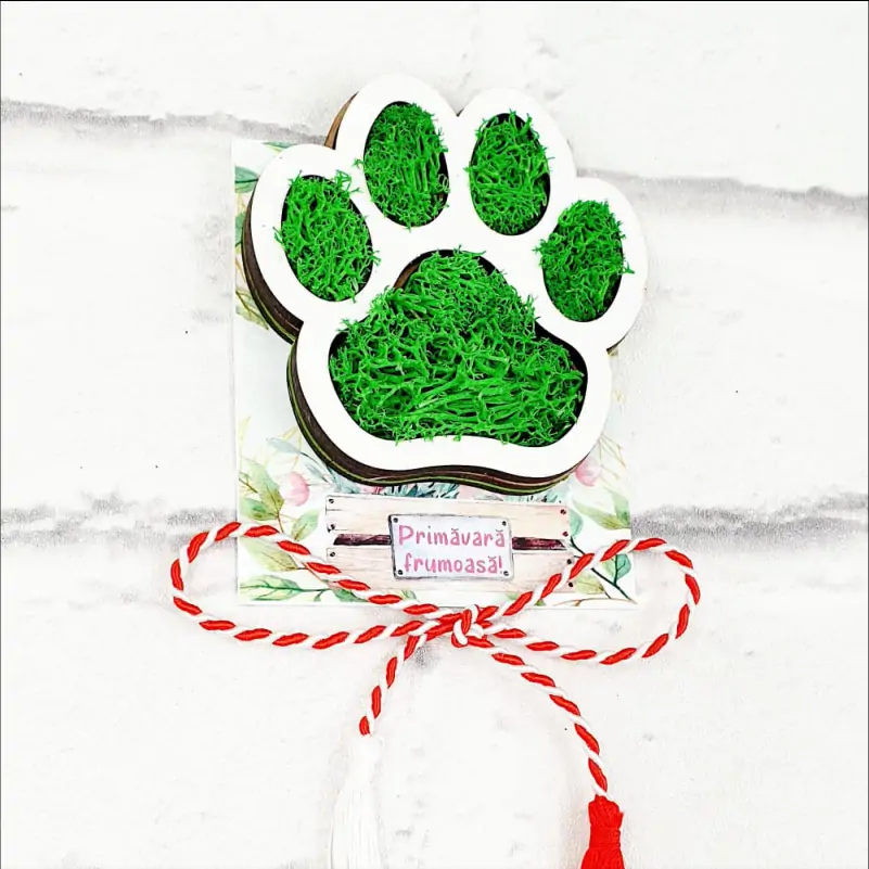 Martisor-cu-licheni-pentru-medic-doctor-veterinar [3]