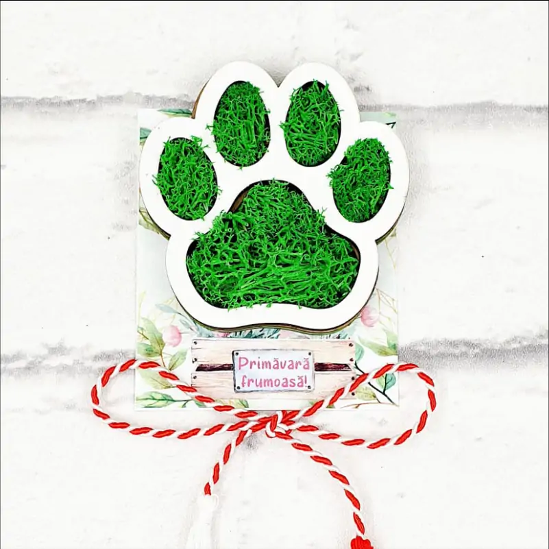 Martisor-cu-licheni-pentru-medic-doctor-veterinar [2]