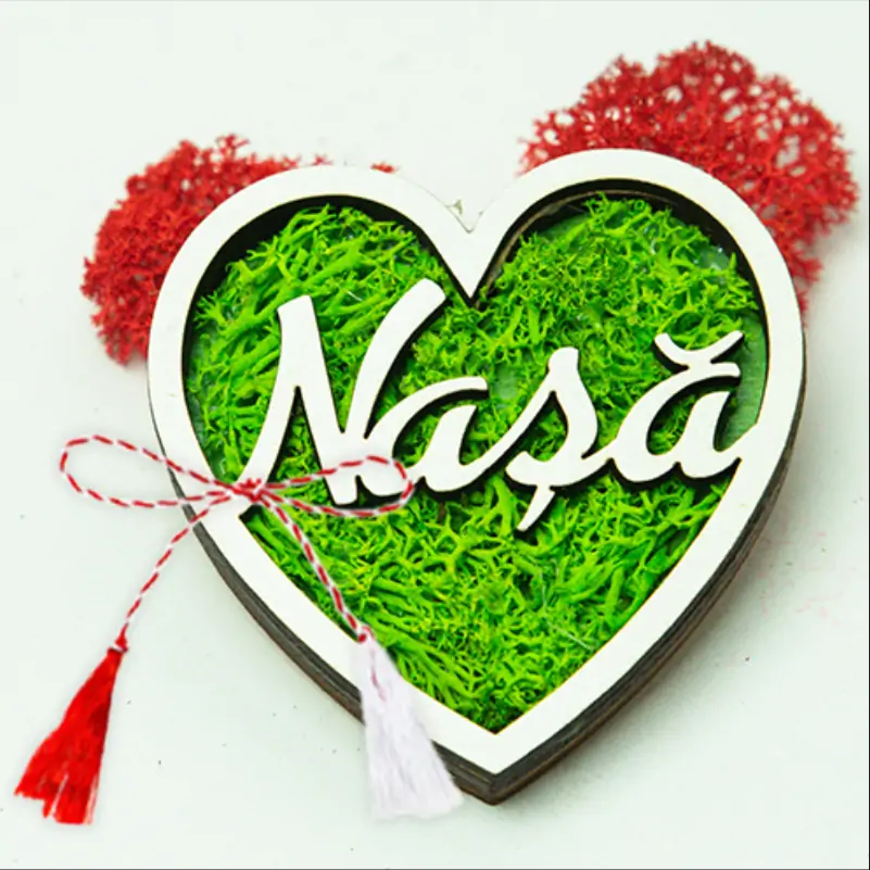 Martisor-cu-licheni-verzi-pentru-Nasa-1 [2]