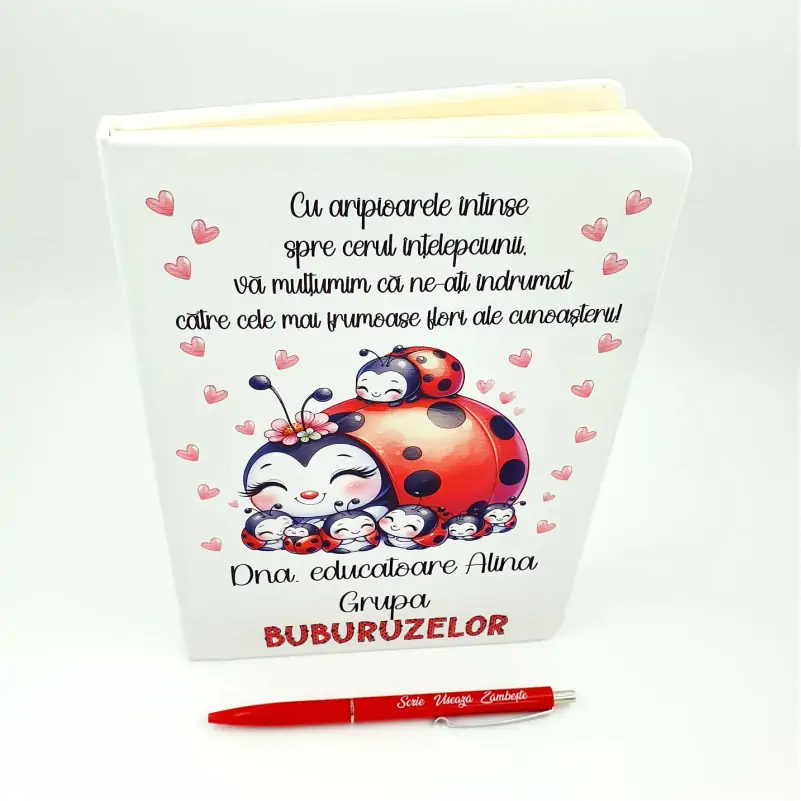 Set-Cadou-Grupa-Buburuzelor-pentru-Educatoare [4]
