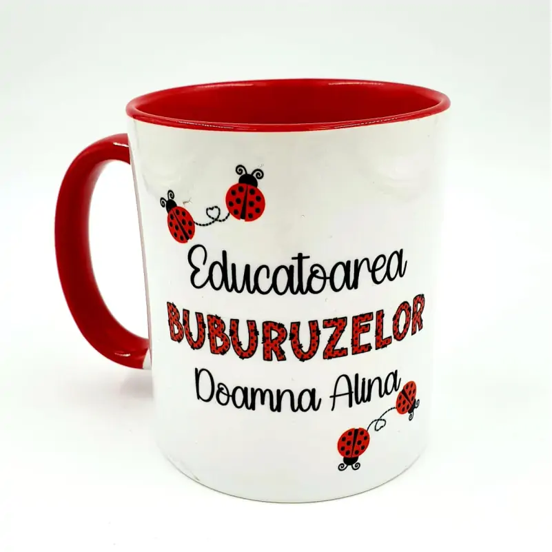 Set-Cadou-Grupa-Buburuzelor-pentru-Educatoare [6]