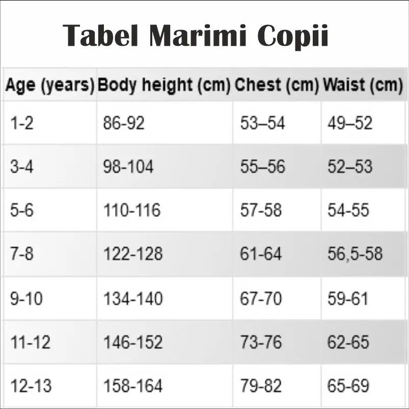 Tricou-Aniversar-Personalizat-Copii-Ursulet-2-ani [2]
