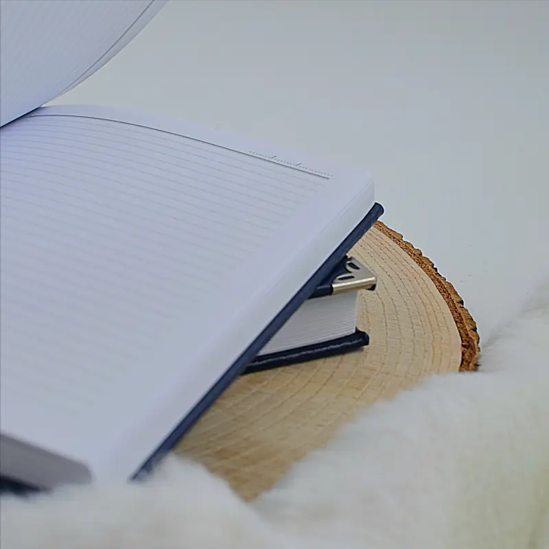 agenda-nedatata-albastra-vintage-personalizata [4]