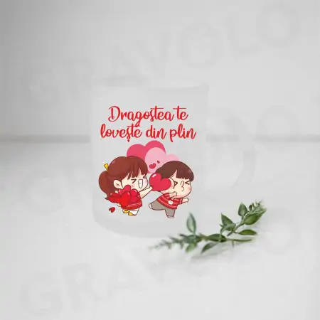 Cana "Dragostea te loveste din plin" cu efect de sablare "Frosted" [2]