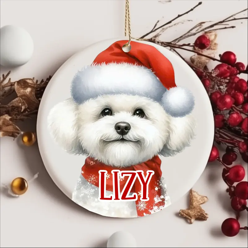 Articole de Craciun - glob-de-craciun-personalizat-catel-bichon