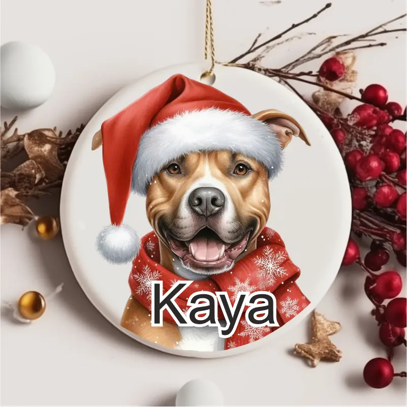 Globul de Crăciun - glob-de-craciun-personalizat-catel-pitbull