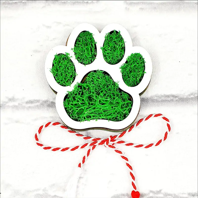 Martisor-cu-licheni-pentru-medic-doctor-veterinar