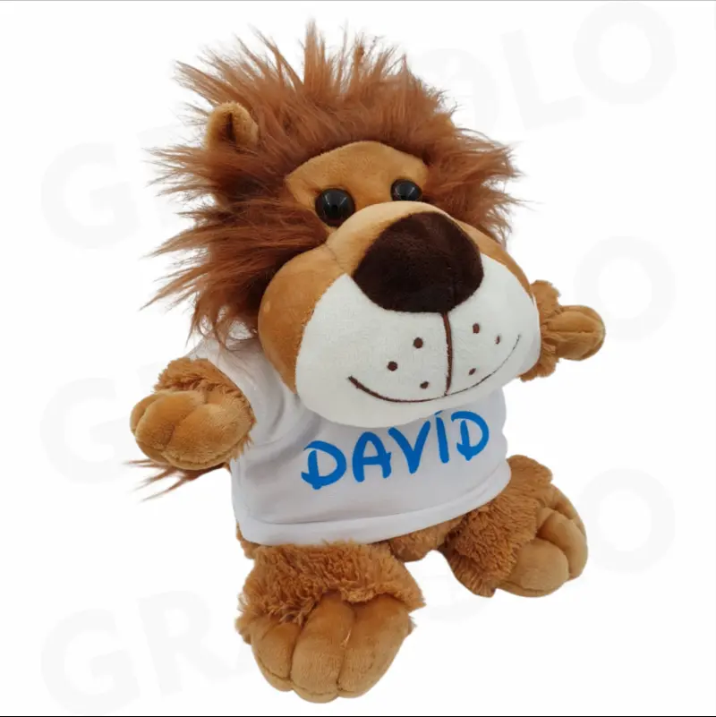 Plus Leu personalizat cu nume, mesaj sau poza [1]