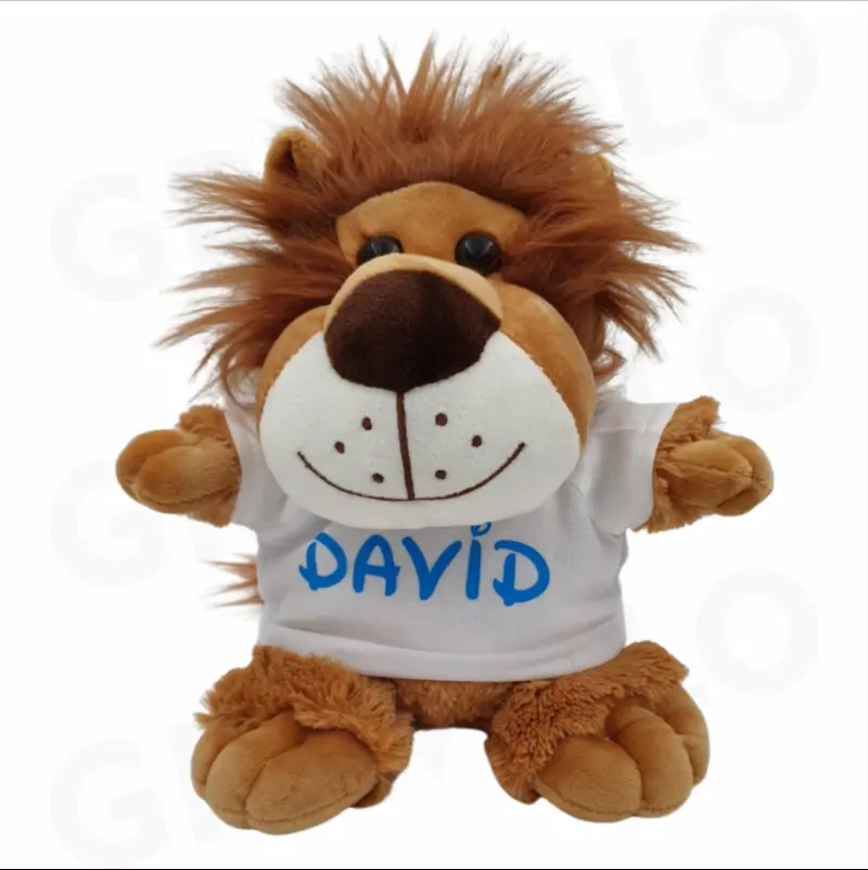 Plus Leu personalizat cu nume, mesaj sau poza [2]