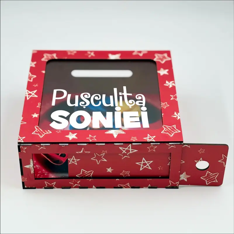 pusculita-personalizata-cu-nume-model-buburuza-si-motanul [1]