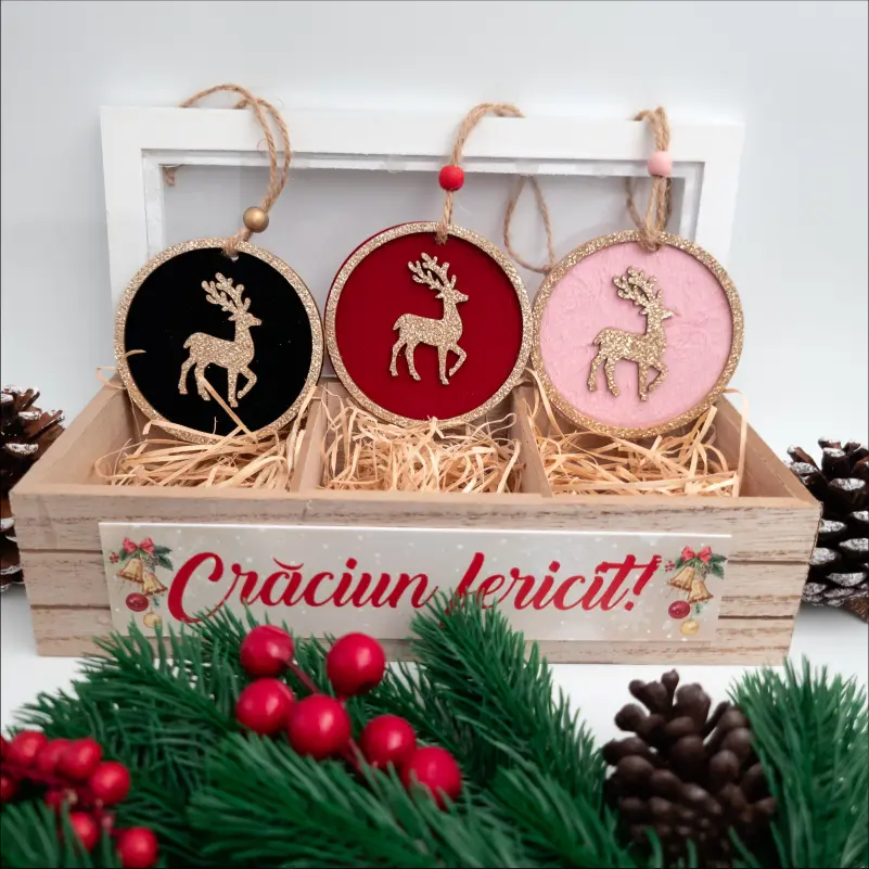 Set-3-globuri-Craciun-personalizate-cu-poze-1 [1]
