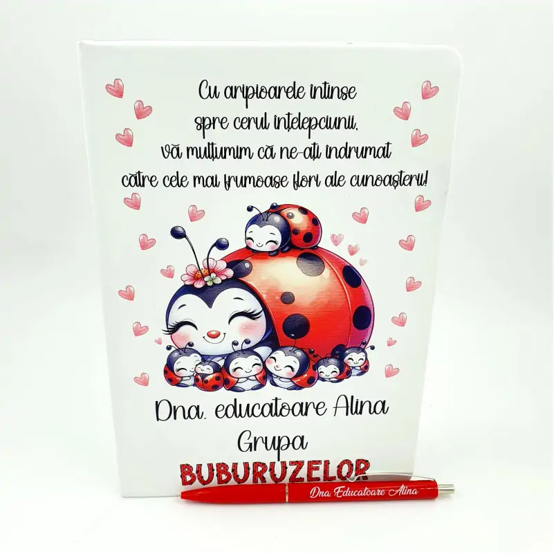 Set-Cadou-Grupa-Buburuzelor-pentru-Educatoare [1]