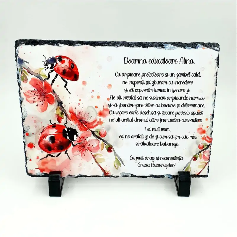 Set-Cadou-Grupa-Buburuzelor-pentru-Educatoare [2]