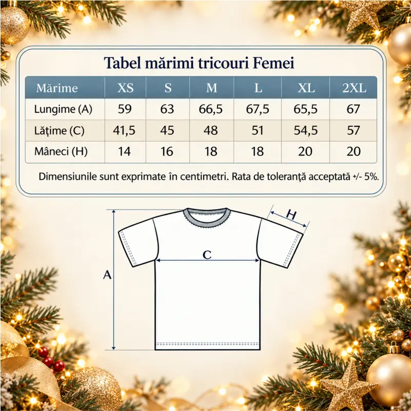 Set-de-tricouri-Craciun-First-Christmas-as-parents [4]