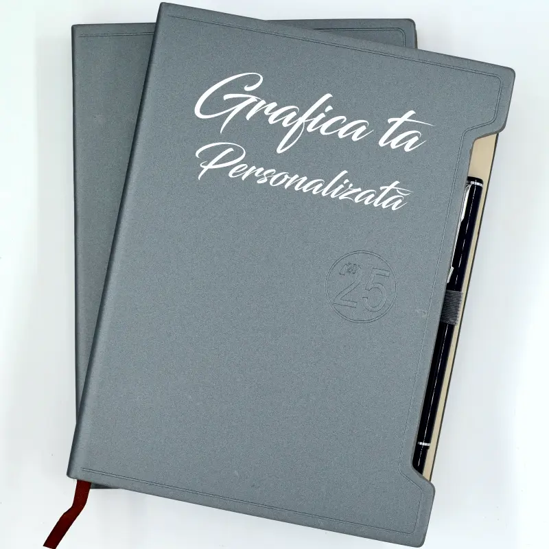 set-personalizat-pix-si-agenda-datata-2025-gri-silver [1]