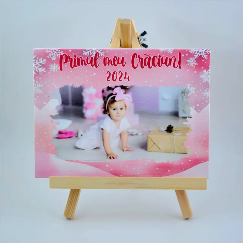 set-primul-meu-craciun-roz [1]