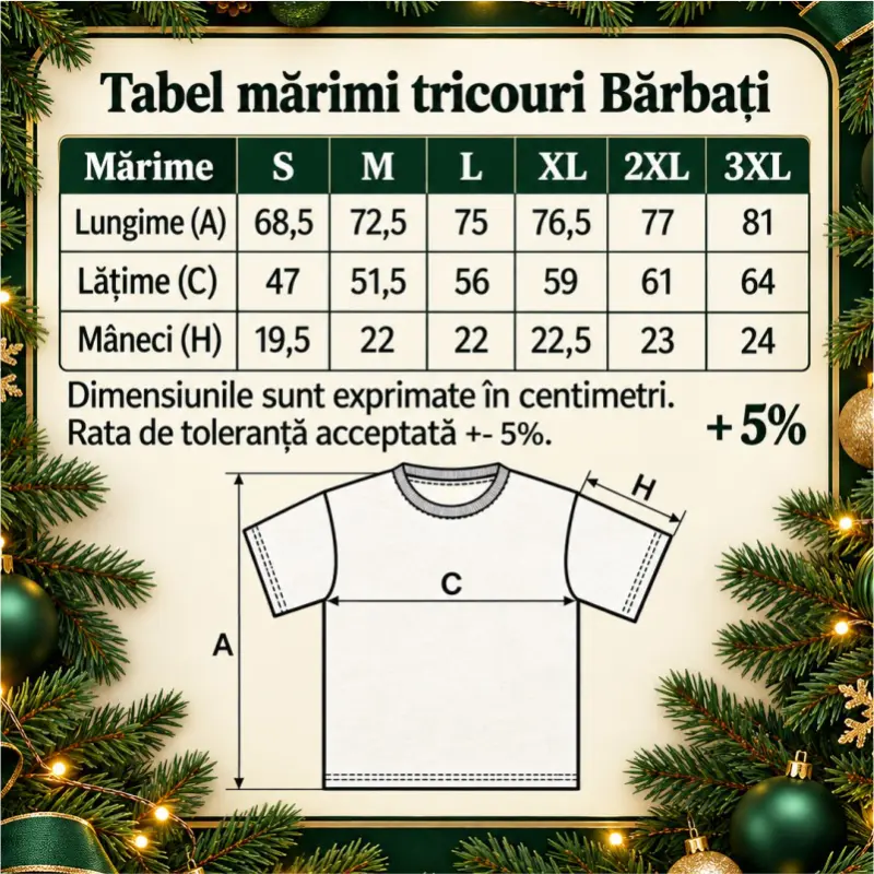 tricou-barbati-craciun-renii-conduc-eu-beau [3]
