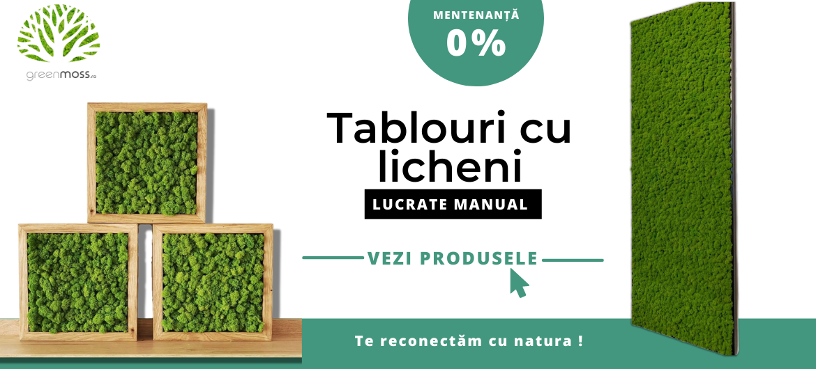 Tablouri cu licheni