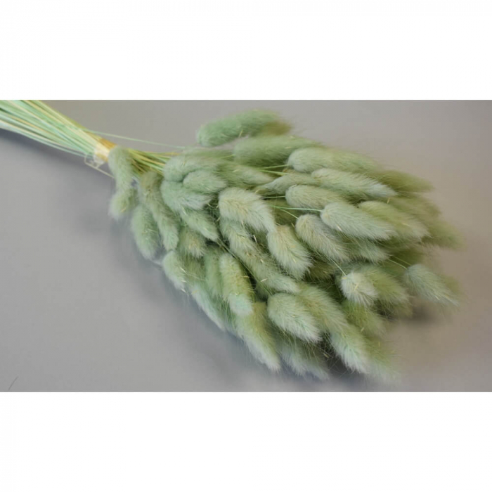Lagurus Aqua 50g [2]
