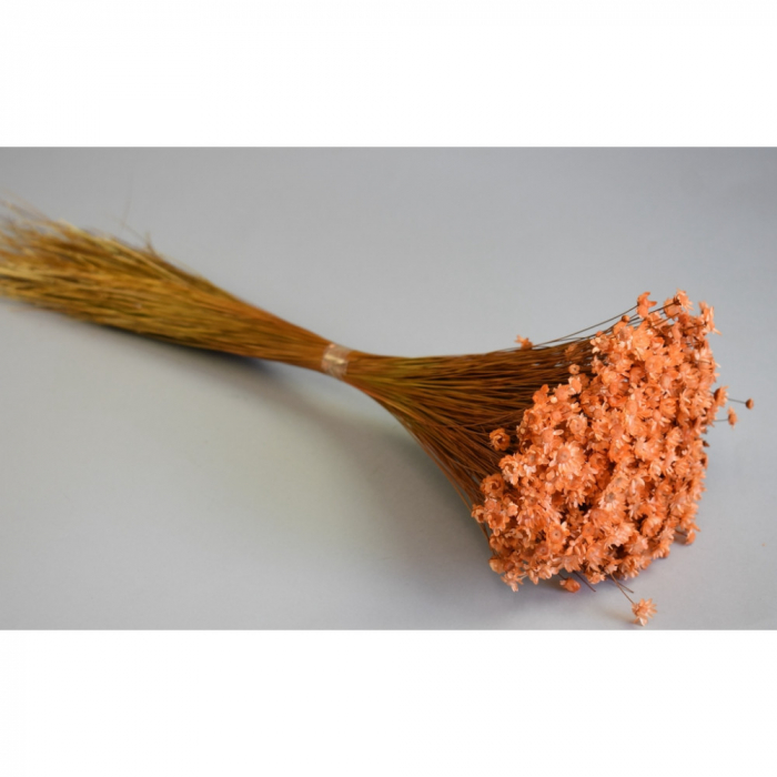 Glixia Piersică 50 g [2]