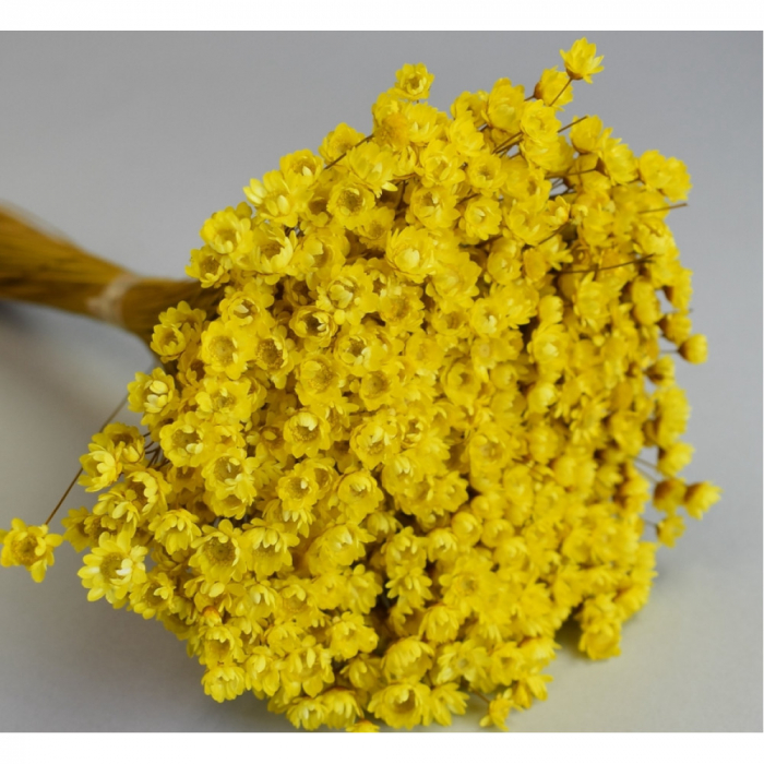 Glixia 50g Galbena [2]