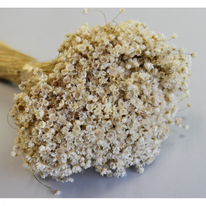 Glixia Natur 1,2 kg [2]