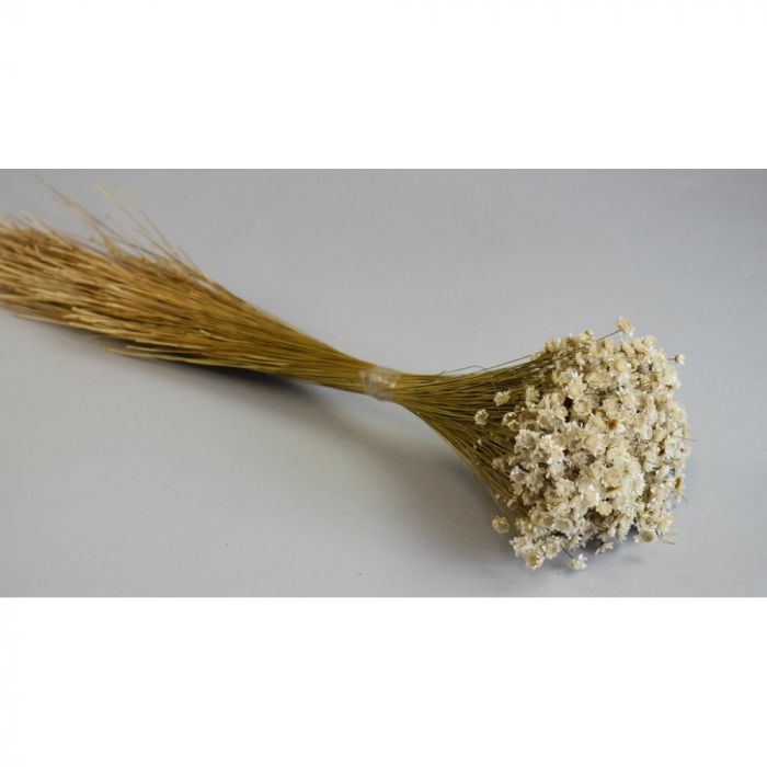 Buchet Glixia Natur [2]