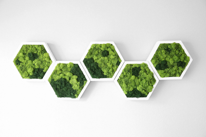Hexagon cu licheni naturali bicolor 40x35 cm [3]