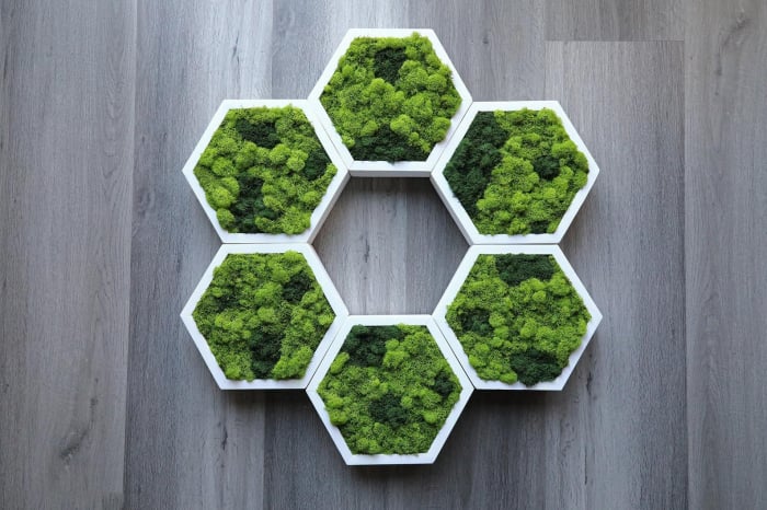 Hexagon cu licheni naturali bicolor 40x35 cm [1]