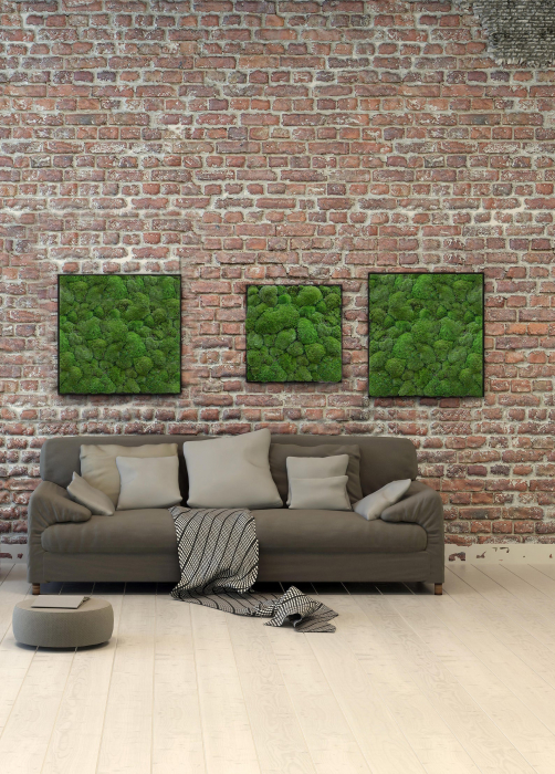 Tablou cu muschi bombat 40x40 [3]