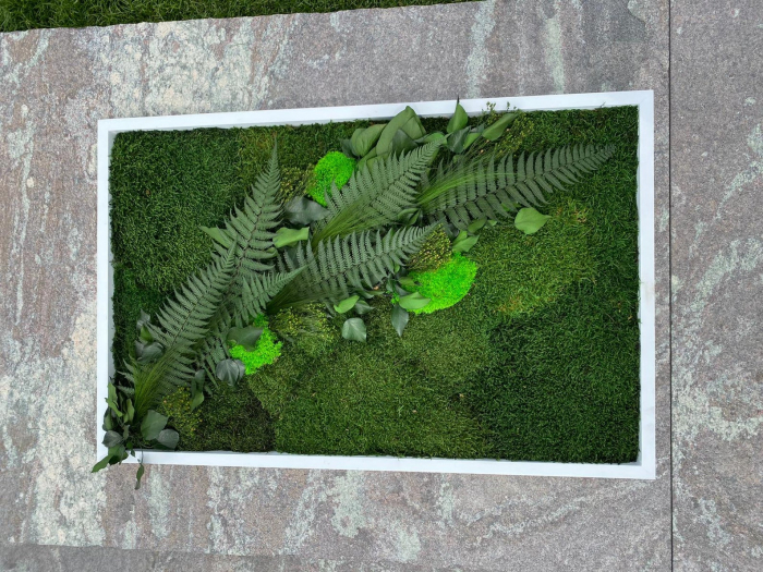 Tablou decorativ cu muschi si plante stabilizate - 100x40 cm [1]